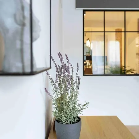 Bright 3Br Flat-Top Location-Green View Balcony Apartment Bucharest
